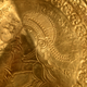 A close-up view showing a bracteate in detail.